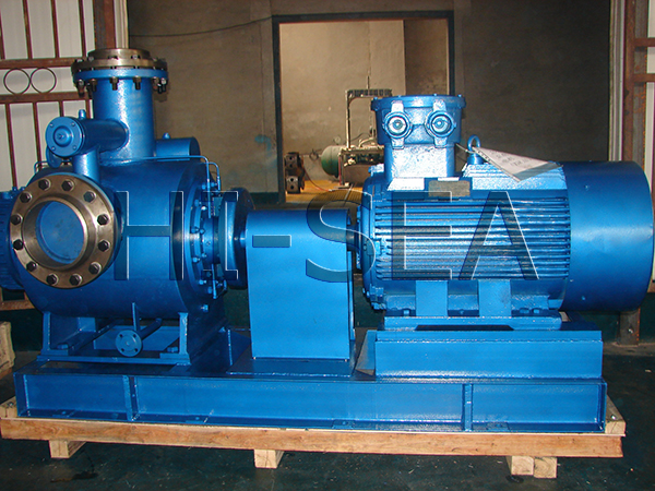 The Picture of 2 W.W Twin Screw Pump